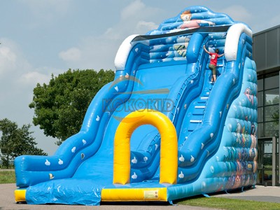 Inflatable Bouncer IB-23